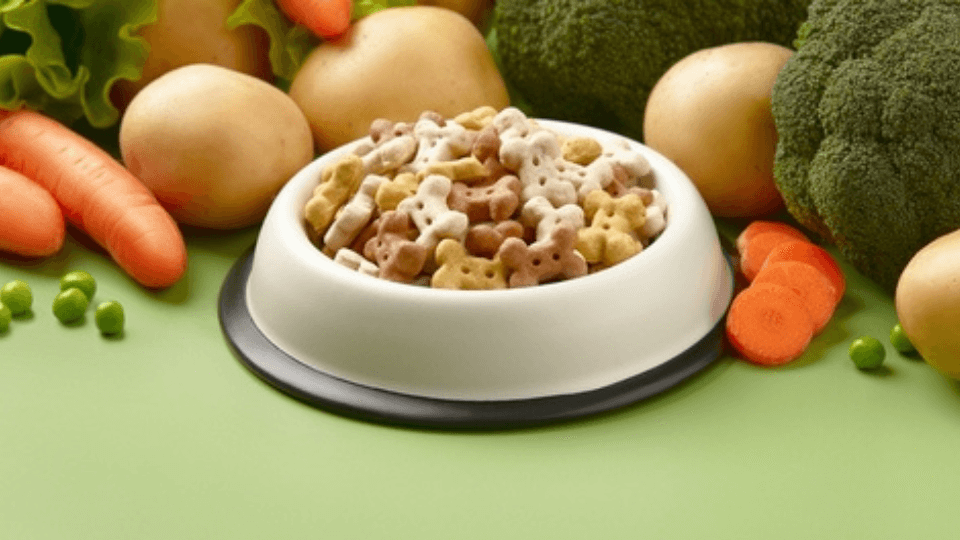 Vegan pet food: the key to sustainability?