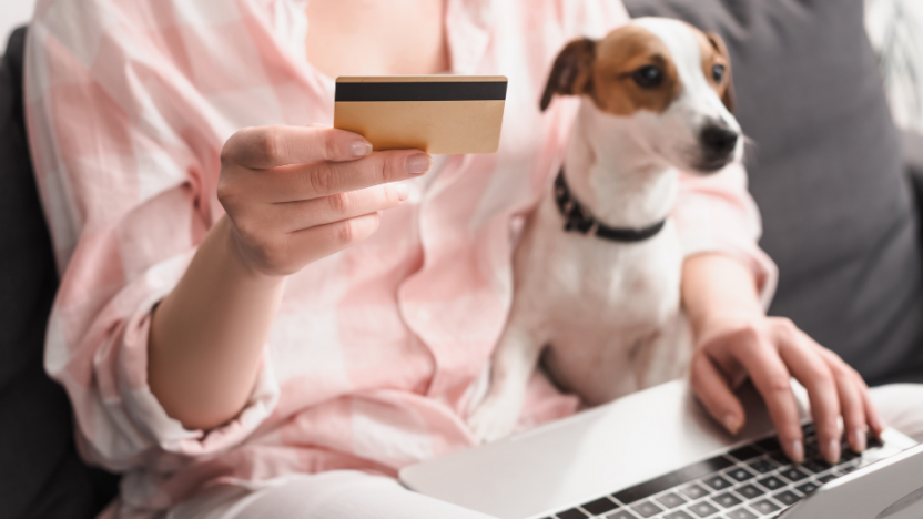 Which are the most popular online pet businesses in Italy?